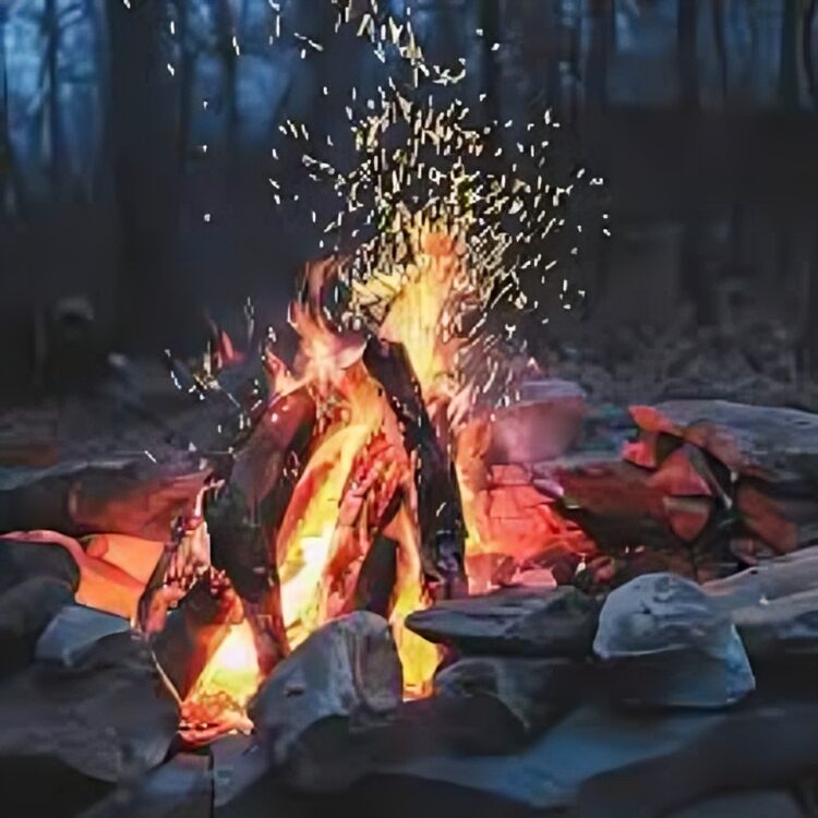 uses of fire pit ashes